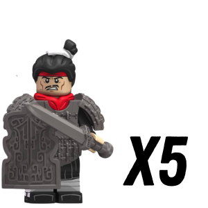 5pcs
