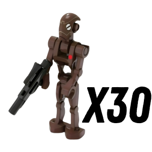 30pcs
