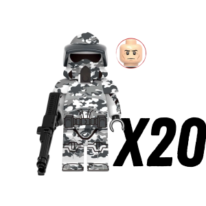 20pcs