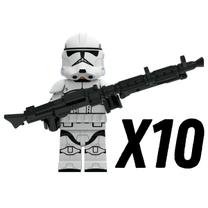 10pcs