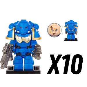 10pcs