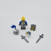 blue-lion-knights-style-1-minifigures-set-of-10pcs
