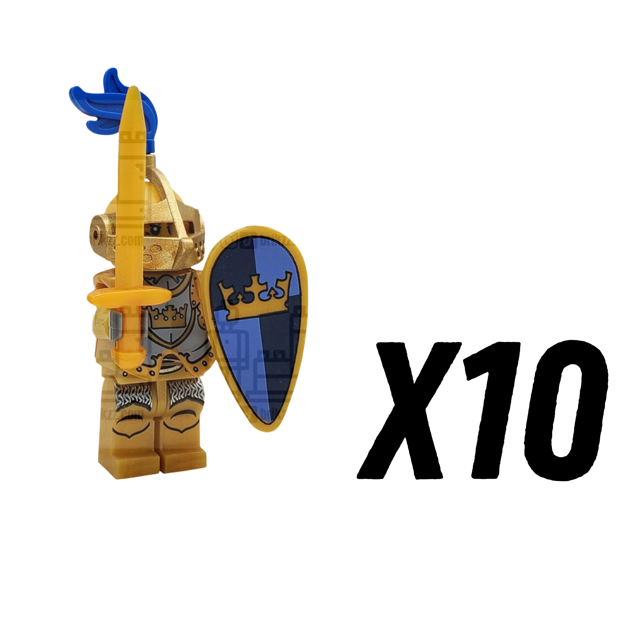 10pcs