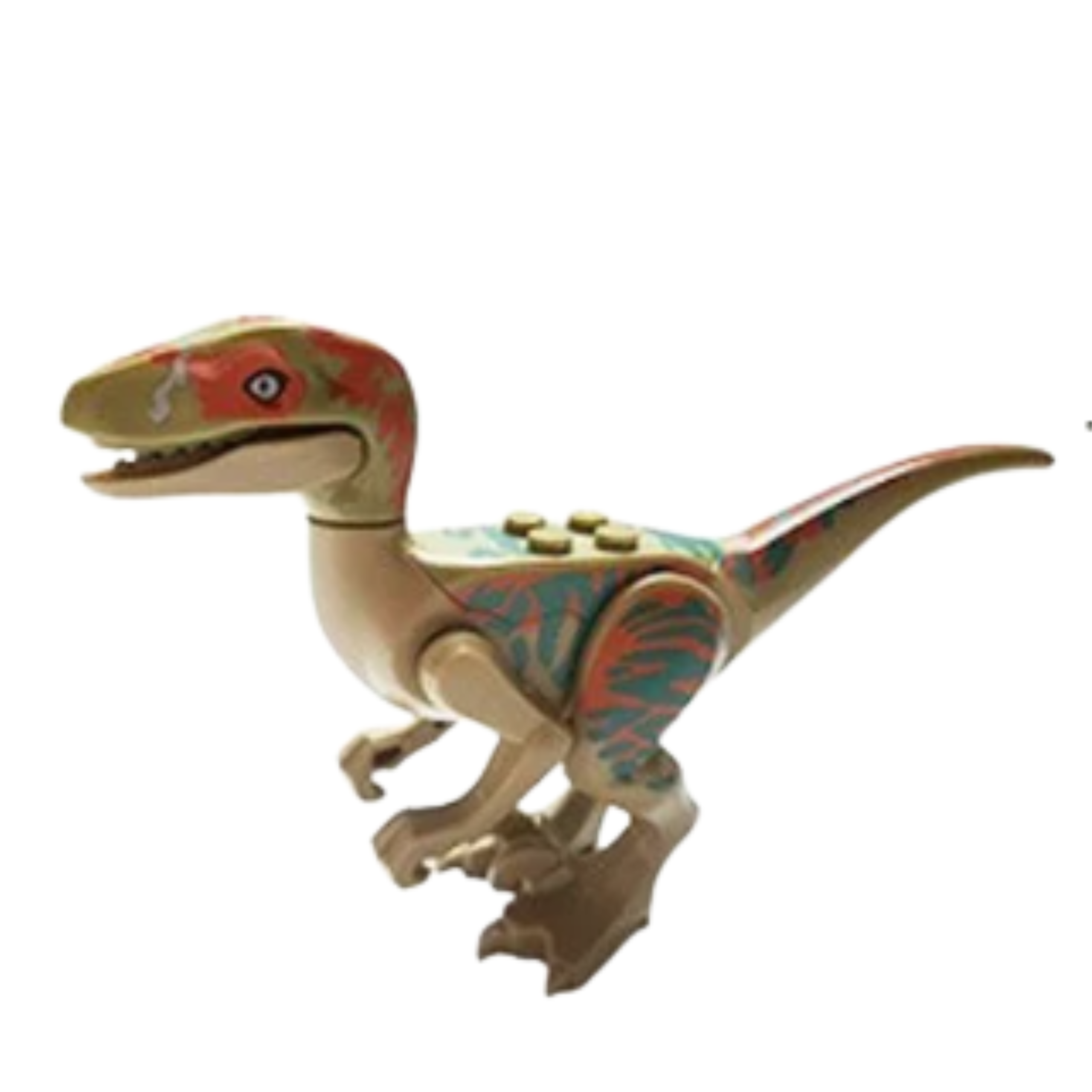 Raptor Brown/Red/Gre