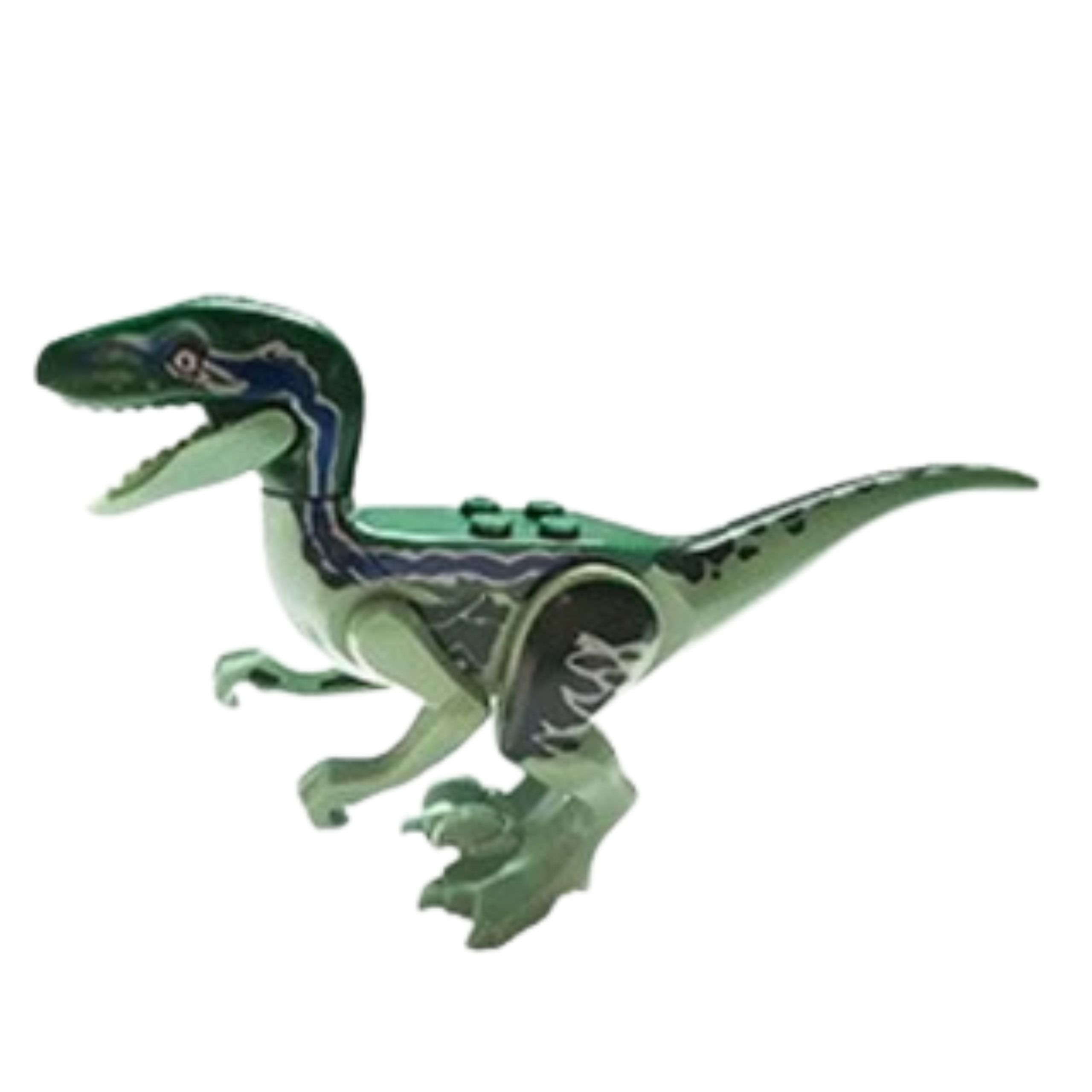 Raptor Green
