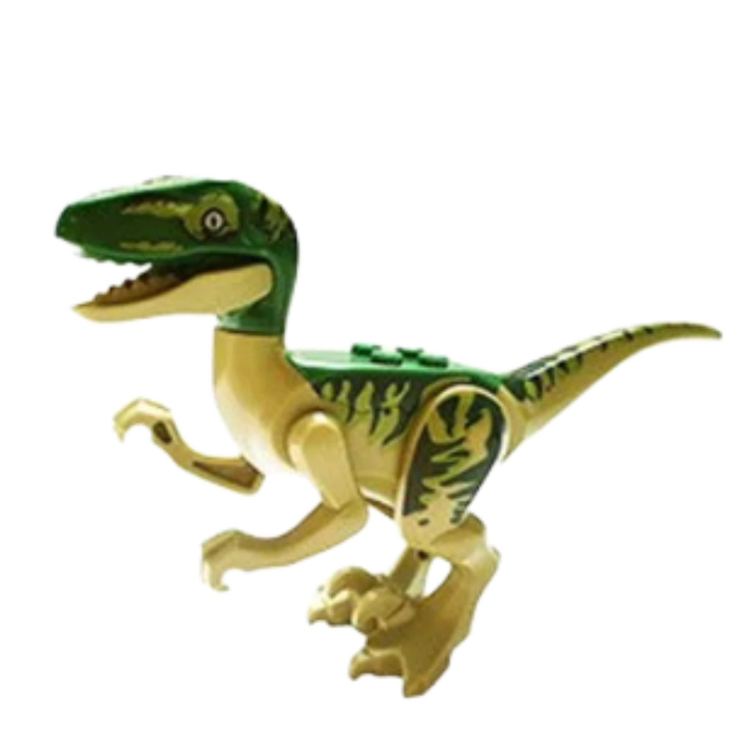 Raptor Green/Yellow