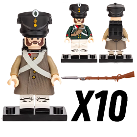 10pcs