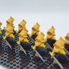 roman-gladiators-murmillos-minifigures-set-of-10pcs
