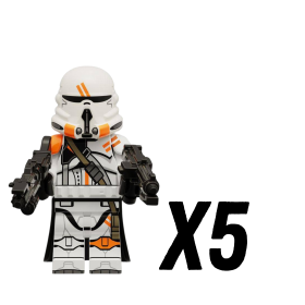 5pcs
