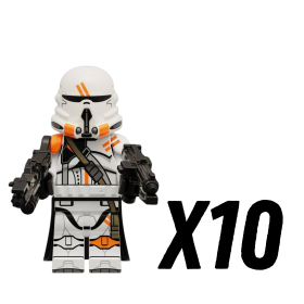 10pcs