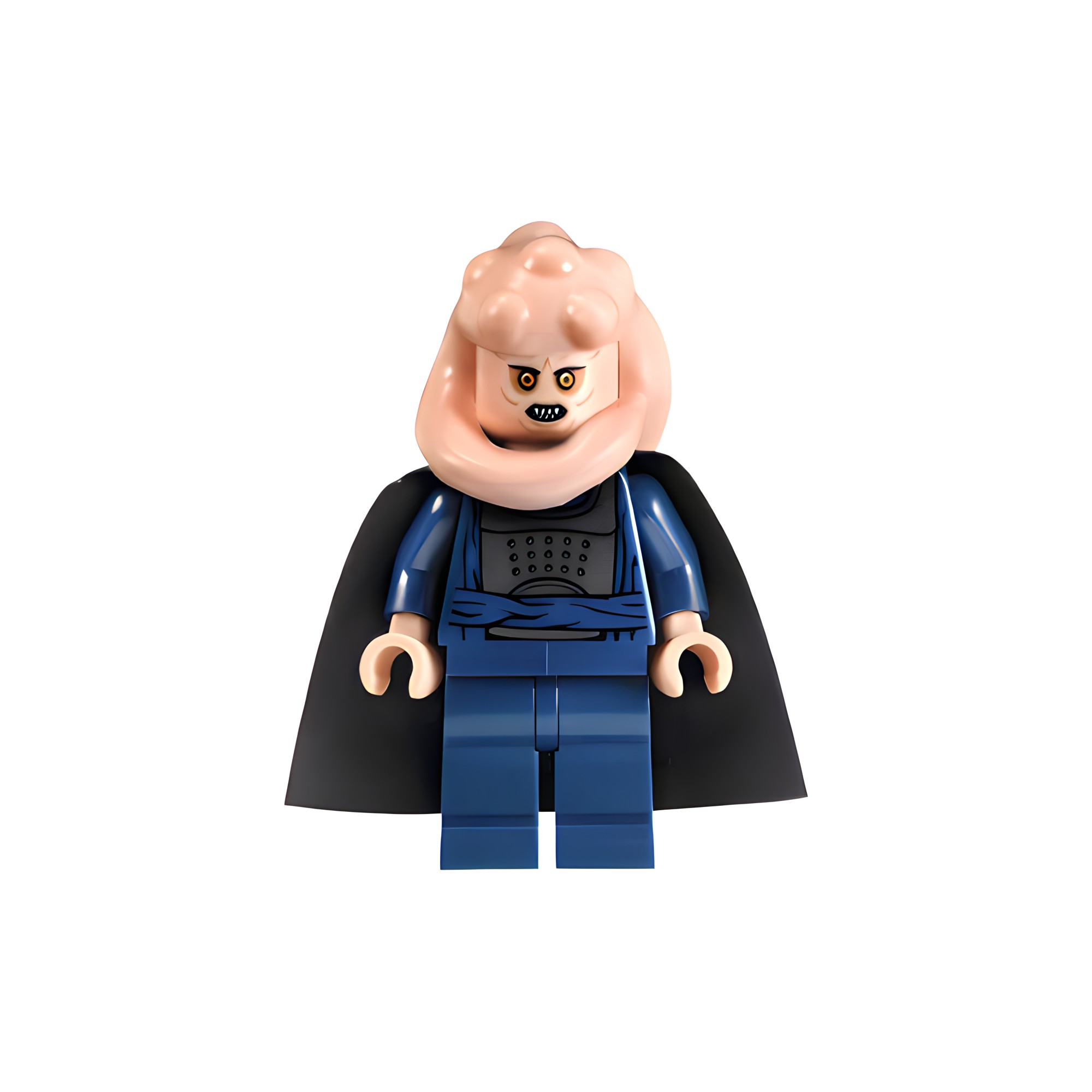 Bib Fortuna