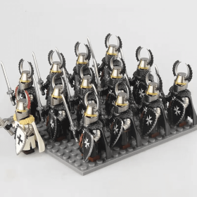 Hospitaller Paladin